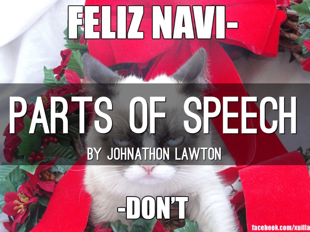 Parts Of Speech Review