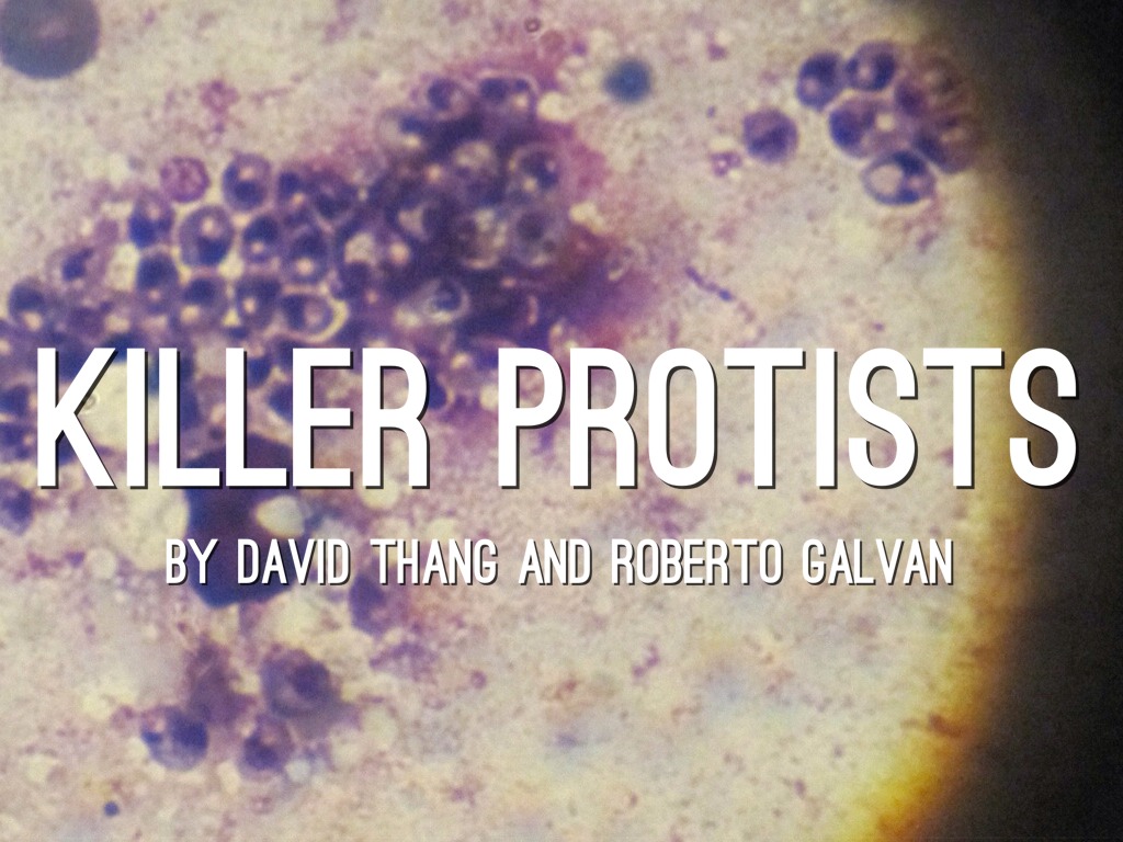 Killer Protists