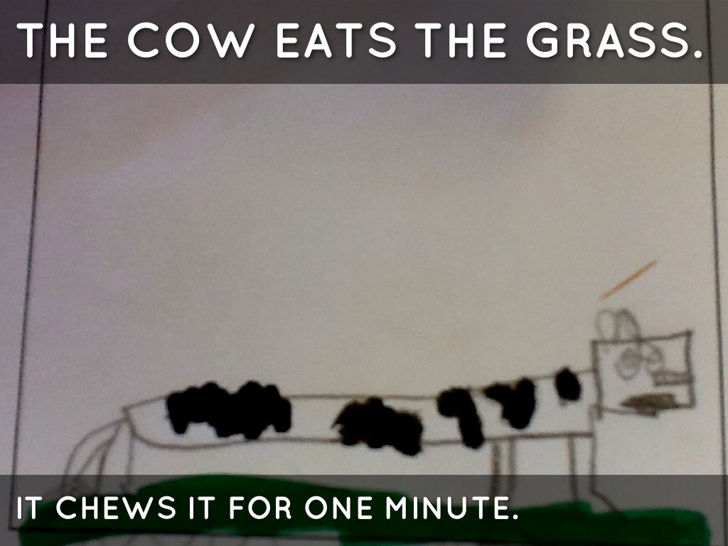 How Milk Gets To The Shops