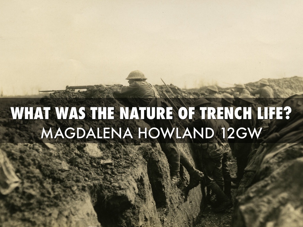 What Was The Nature Of Trench Life?