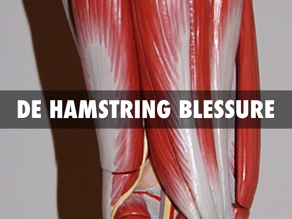 Hamstring 