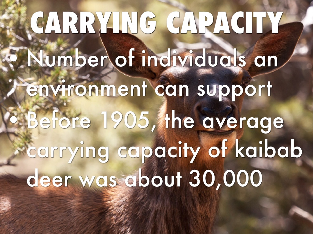 Chapter 33 And 34 Terms