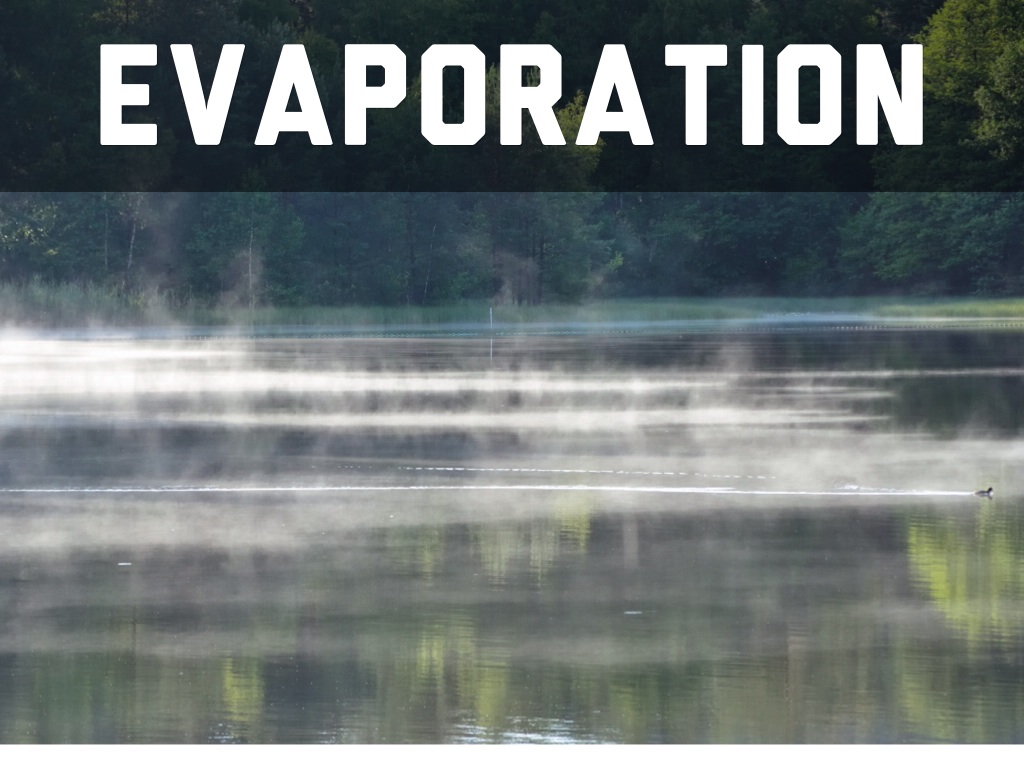 Water Cycle Terms 4B