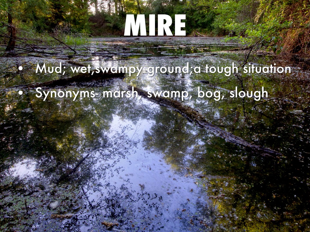 Unit 10 by Jeremiah Young