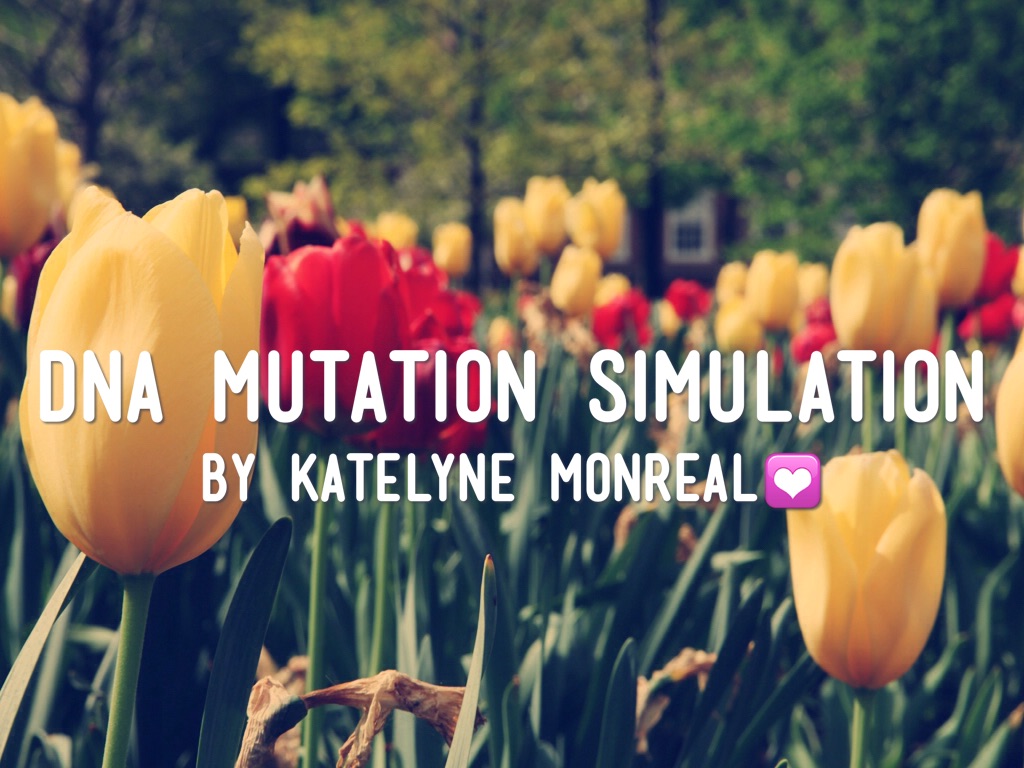 Dna Mutation Simulation 👐