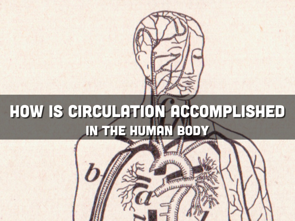 Science: Big Question