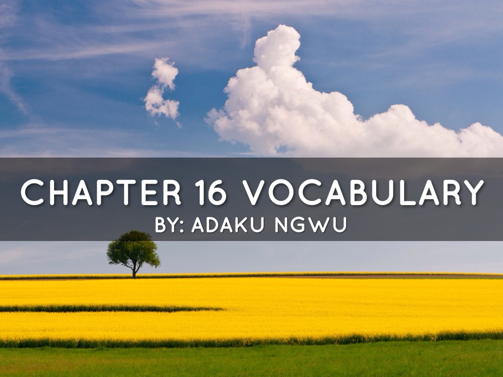 Chapter 16 Vocab 
