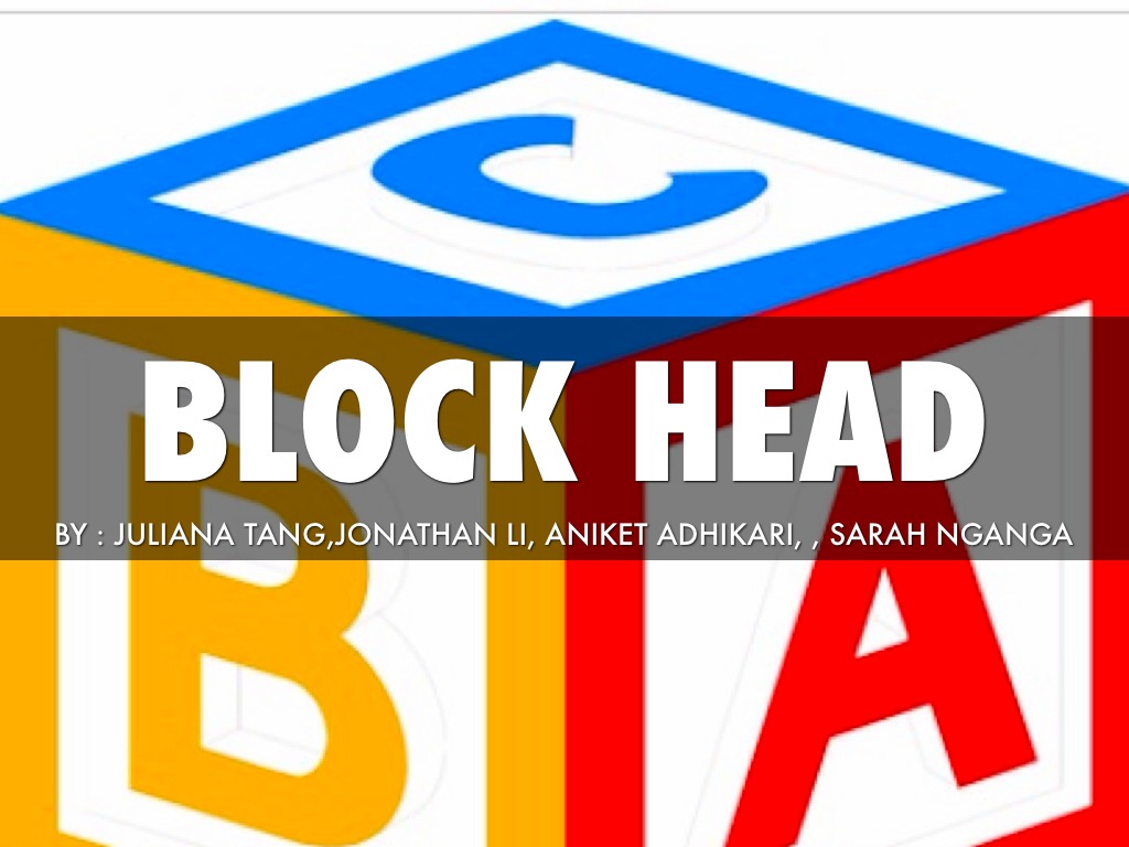 Block Heads Math Project