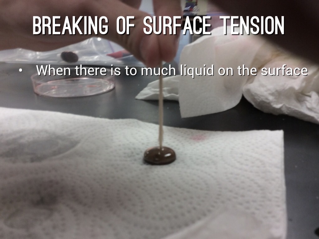 Properties Of Water by Colten Gonzalez