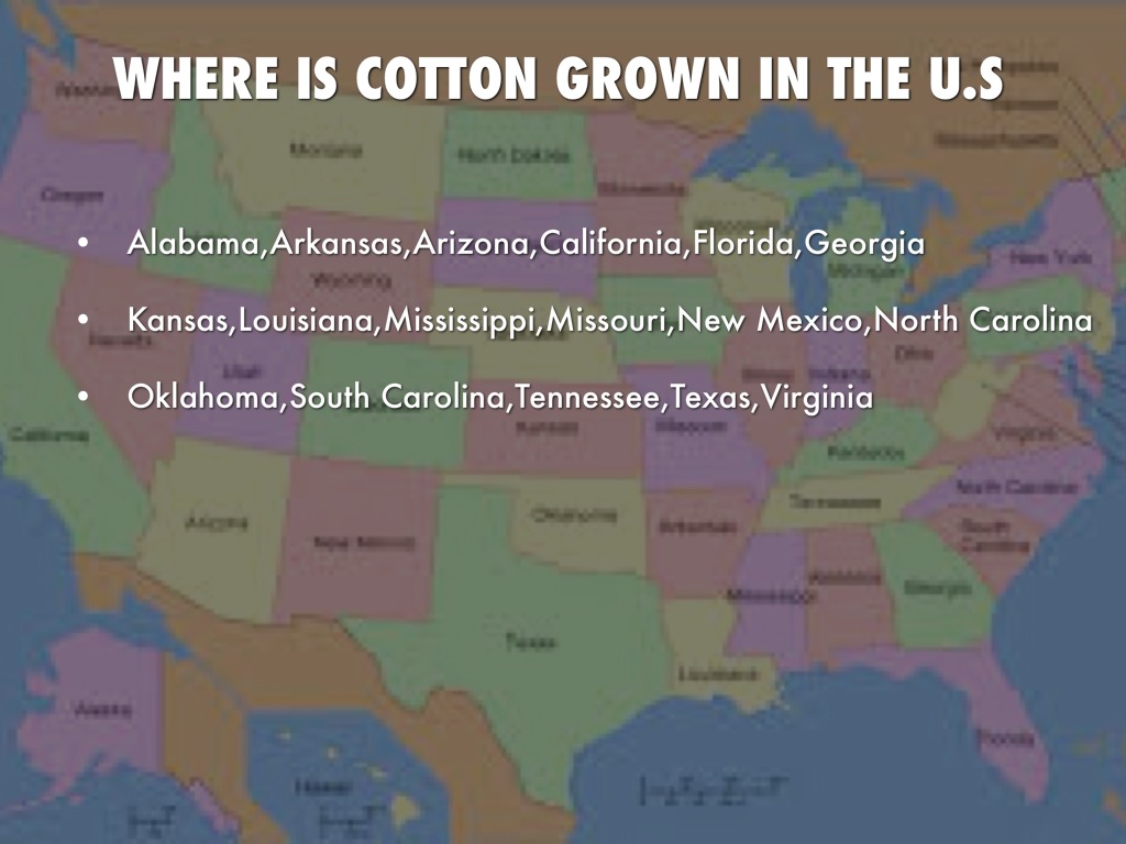 Cotton Storybook Bryan Nguyen by omgpop21