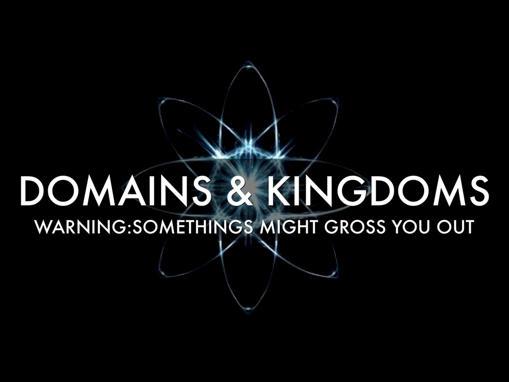 Domains And Kingdoms!😝