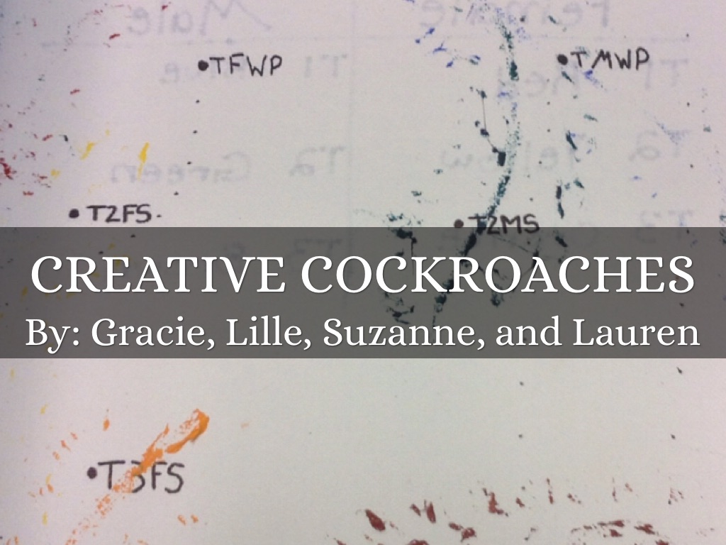 Creative Cockroaches