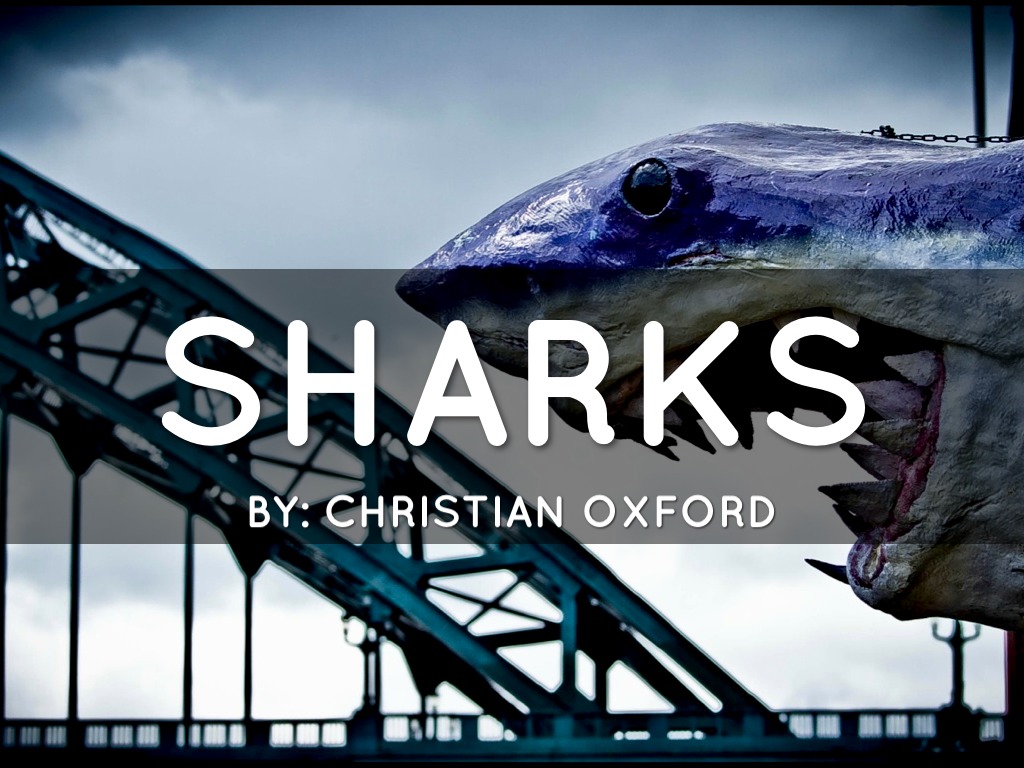 Sharks