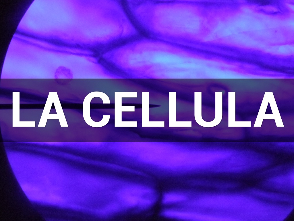 LA CELLULA