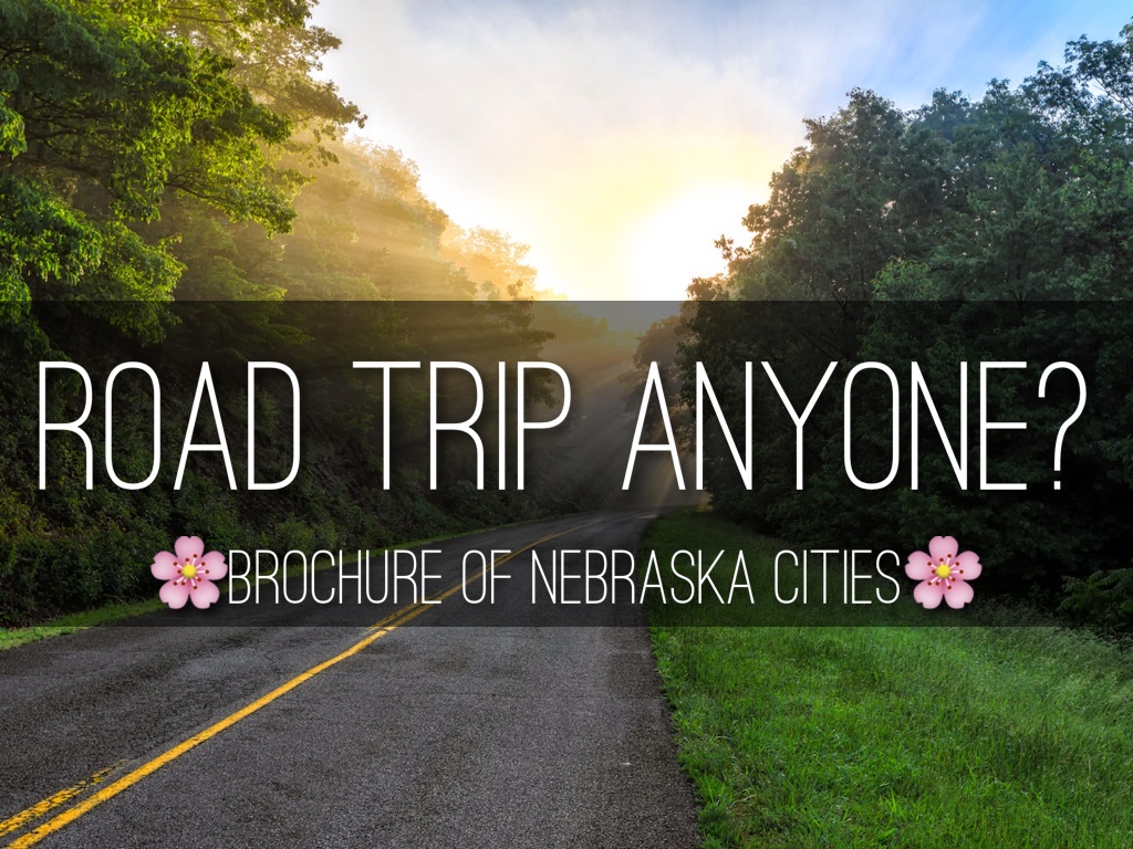 🚙Road Trip Anyone?🚘