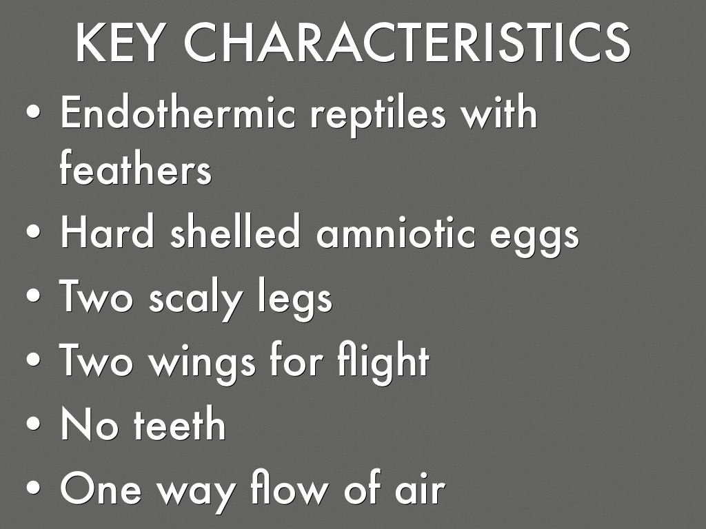 Vertebrates by Michelle Perry