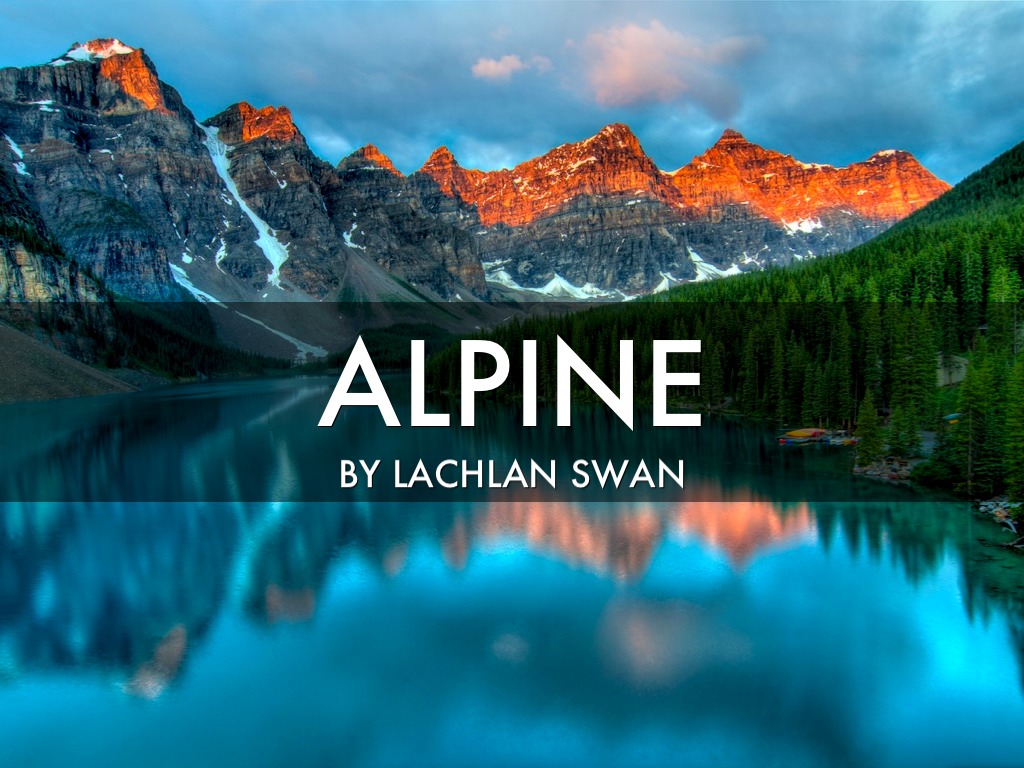 Alpine