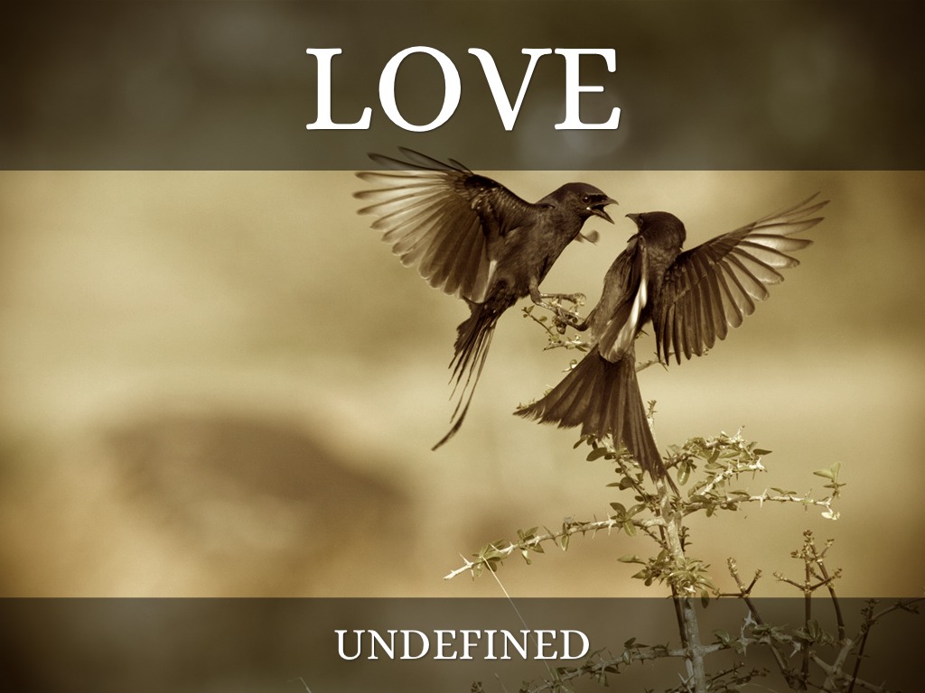 Love Undefined