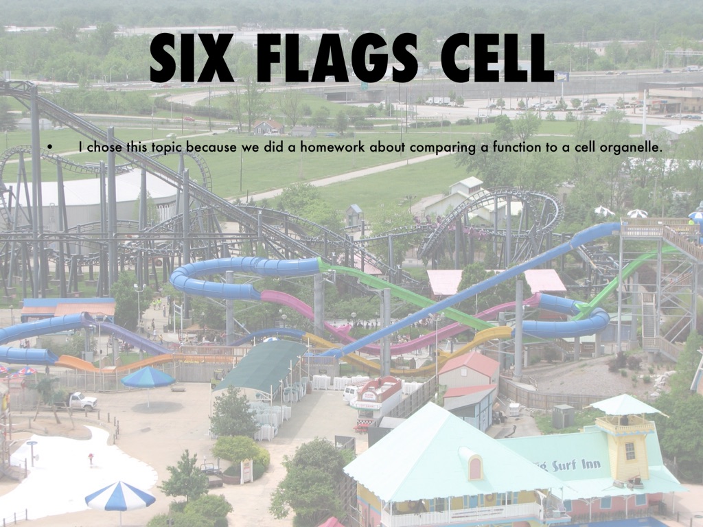 six flags cell