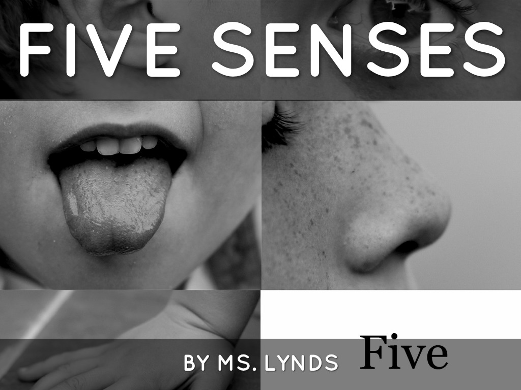 Five Senses