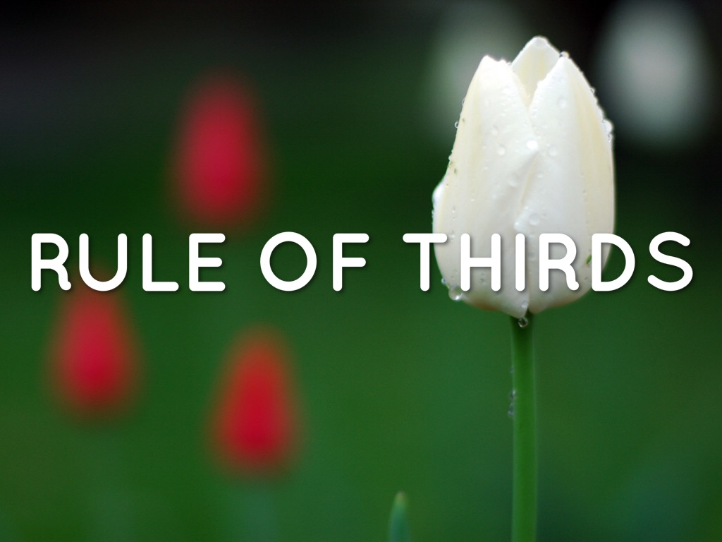 Rule Of Thirds