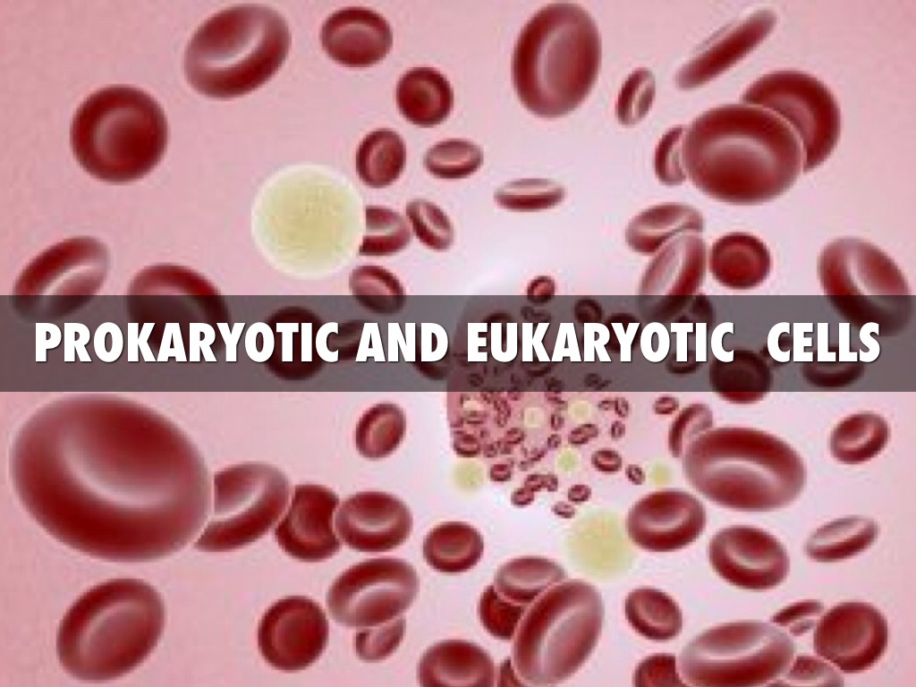 Prokaryotic And Eukaryotic 