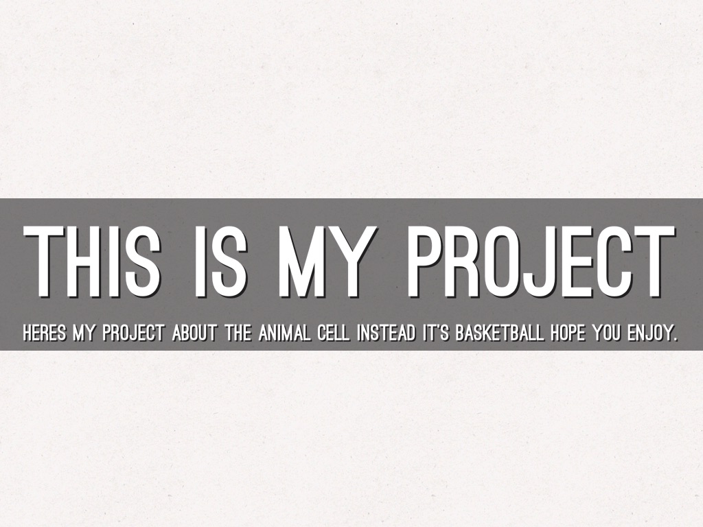 Basketball Project