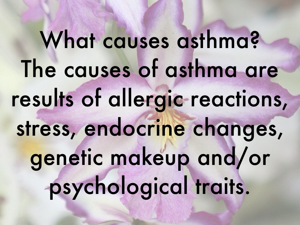 Asthma by ficus.trees.rule