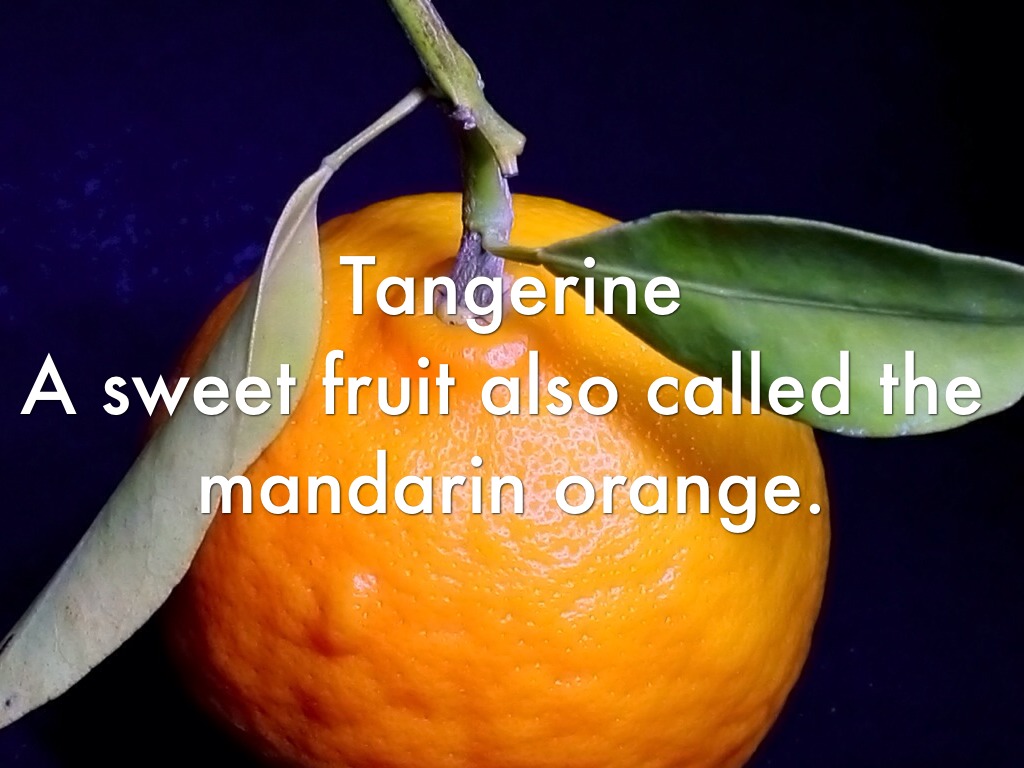 spelling words unit 1, week 1 by Abigail Laura