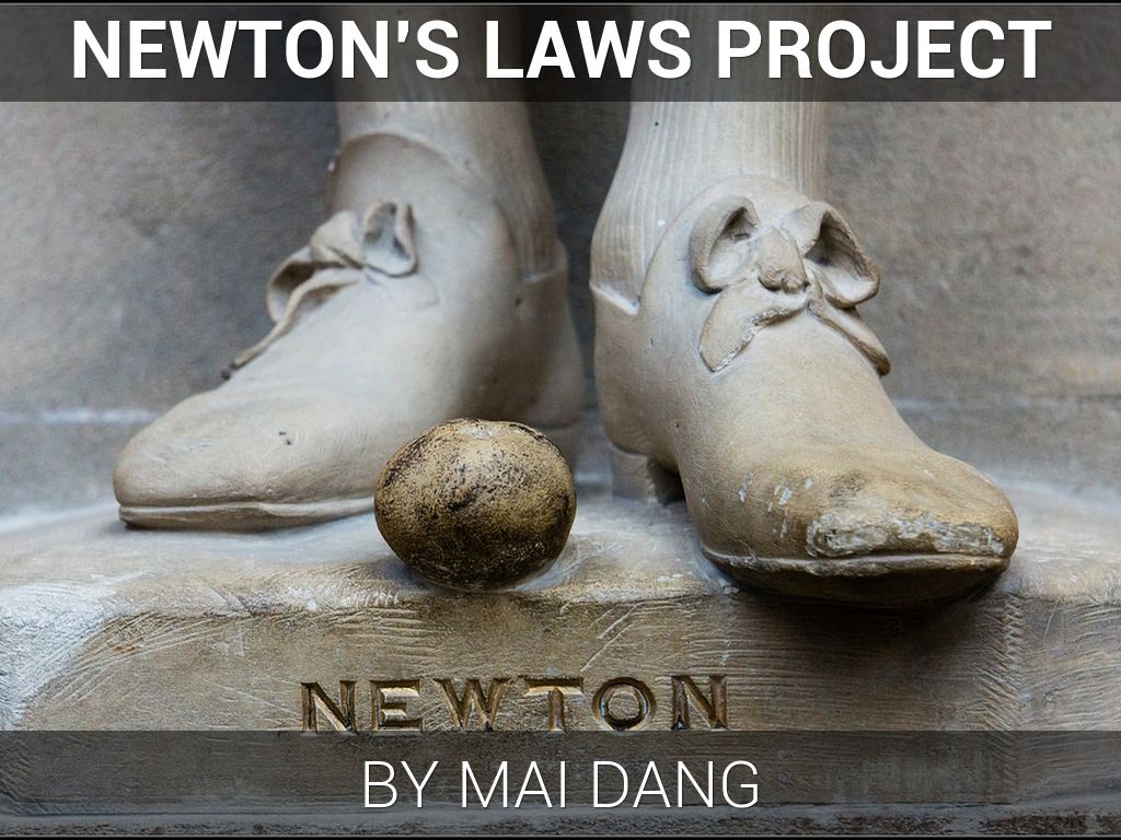 Newton's Laws Project