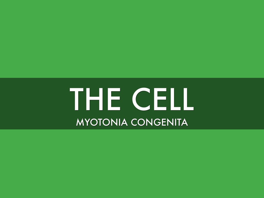  The Cell
