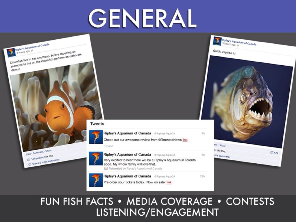 Aquarium Social Media Strategy by srsgala