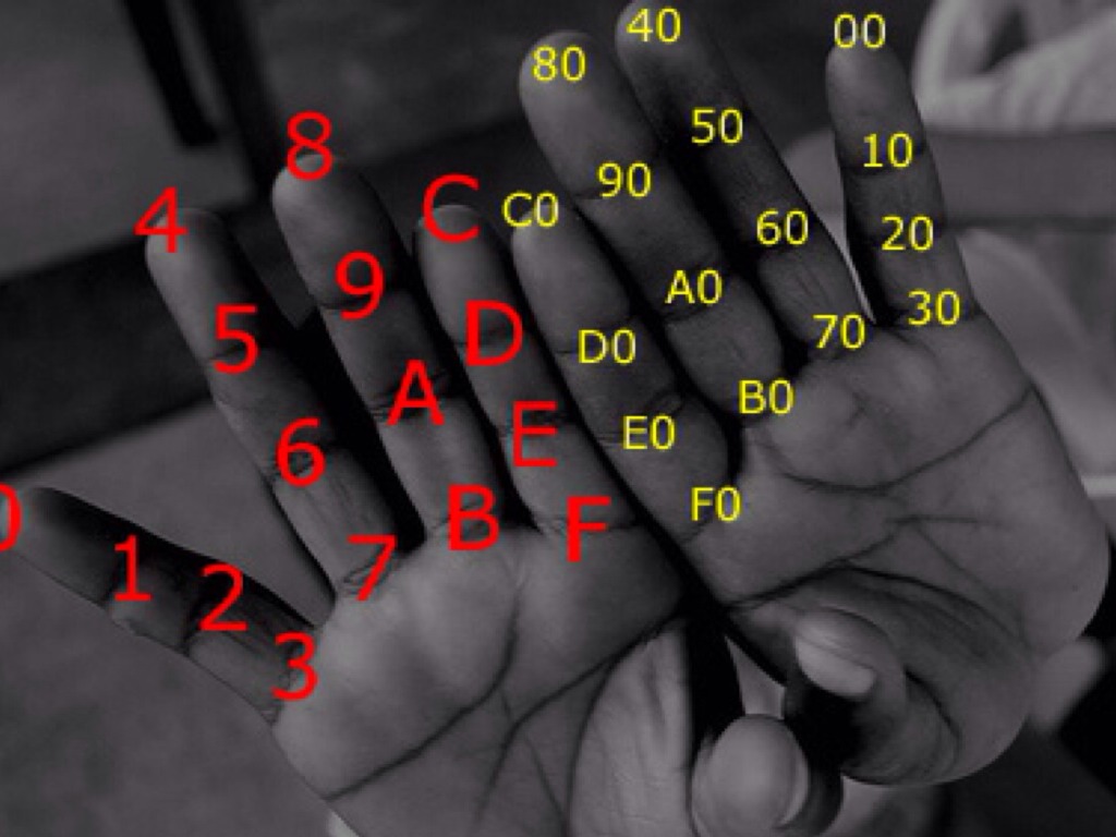 Matatanda Typing Examples Mata by Ruairí Browne