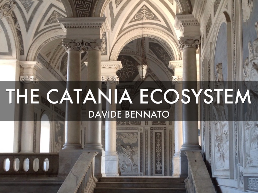 The Catania Ecosystem
