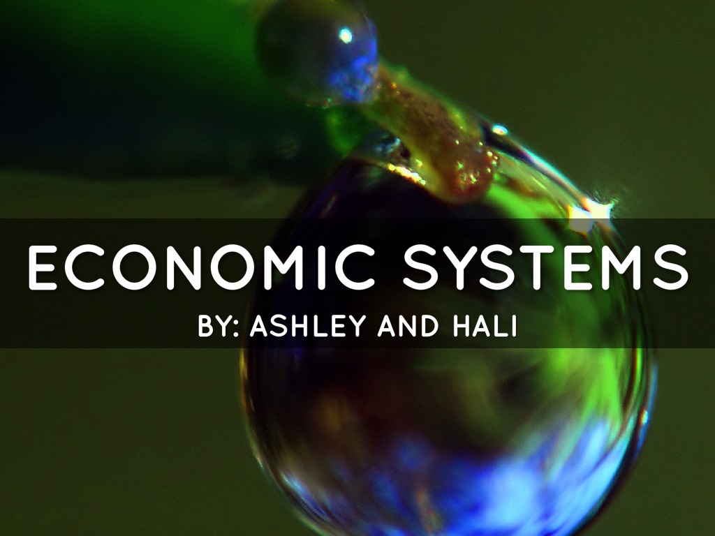 Economic Systems by Hali/Ashly Steigerwalt/Collins