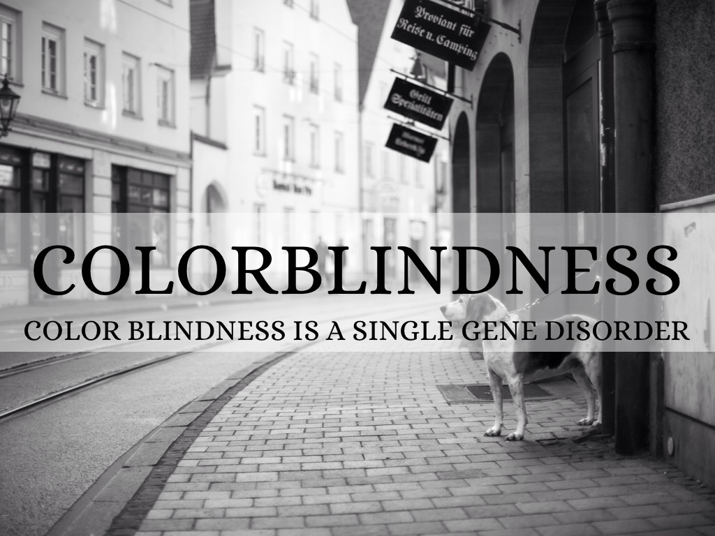 Colorblind by Eric McCrorey