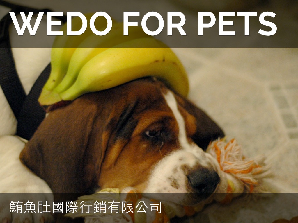 Wedo For Pets