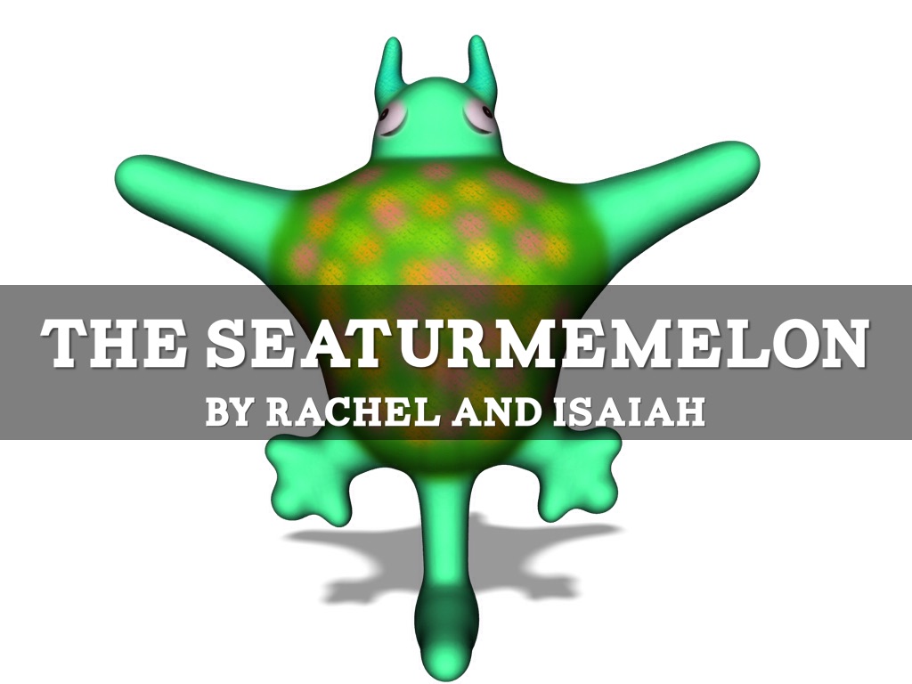 The Seaturmeleon