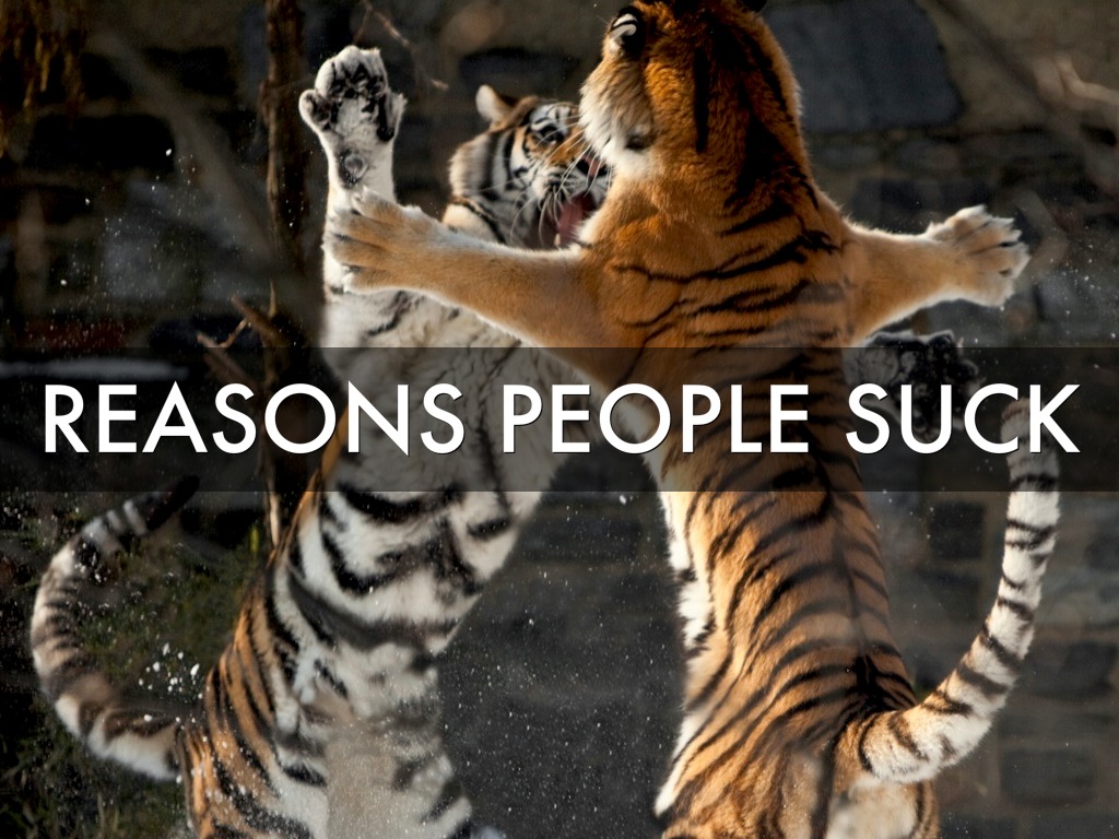 Reason People Suck