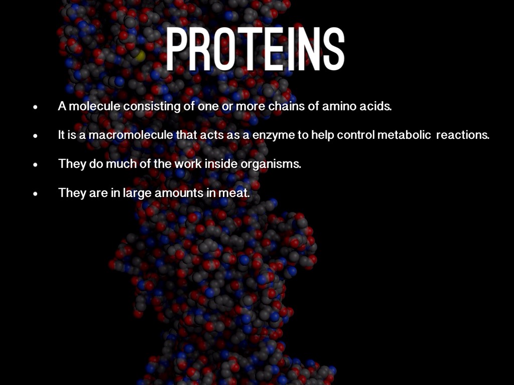 Macromolecules by Kyle Neal