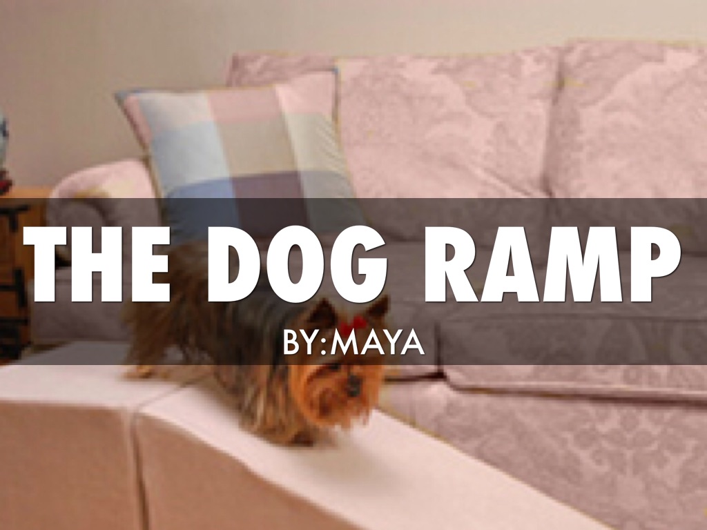 The Dog Ramp