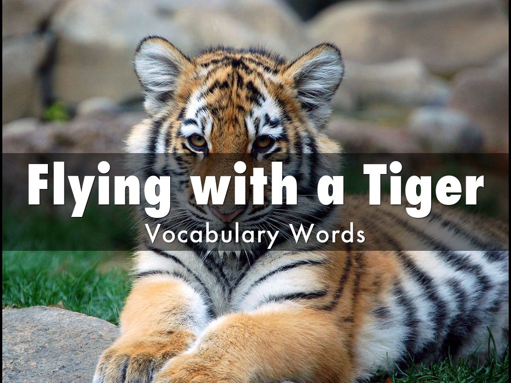 Copy of Copy of Flying with a Tiger by lmgomez