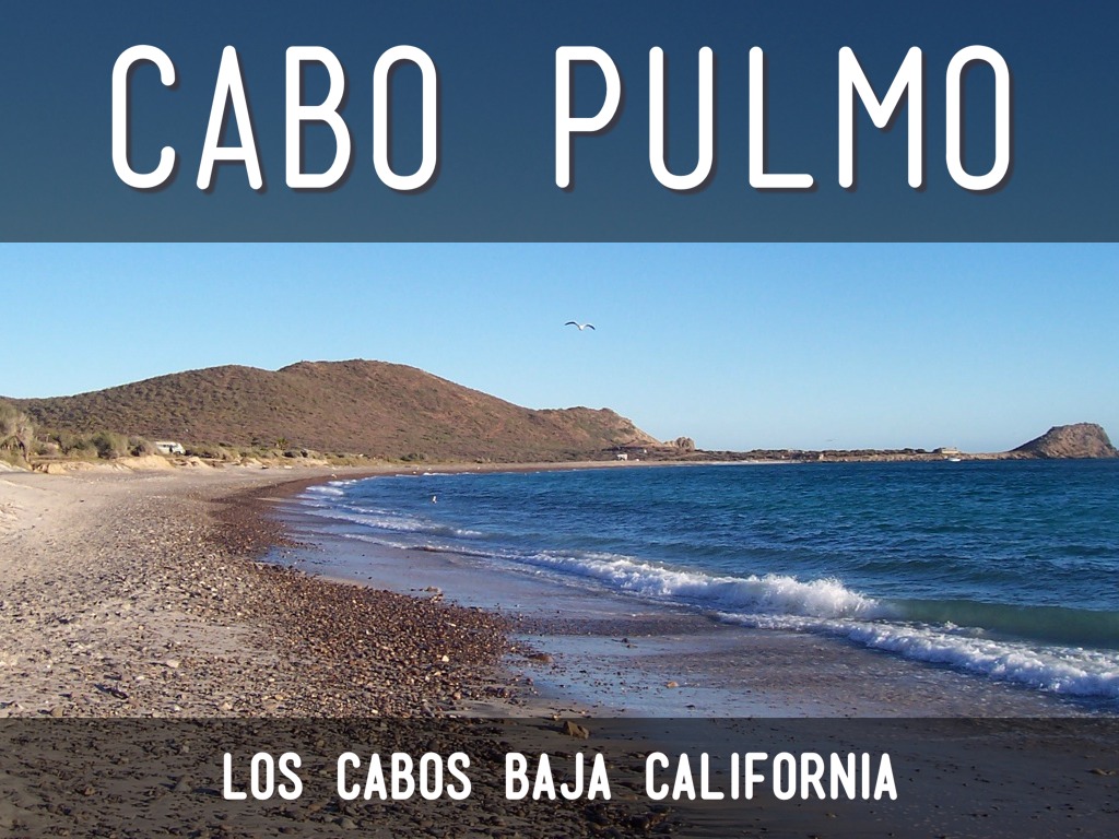 Cabo Pulmo by Ramon Jaimes