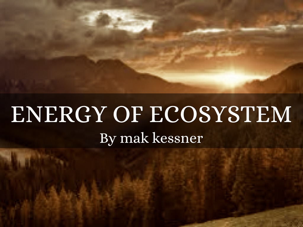 Energy In A Ecosystem