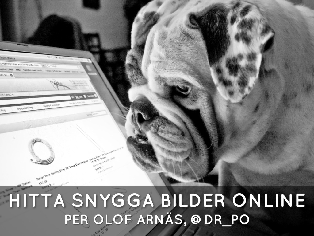 Hitta Snygga Bilder Online