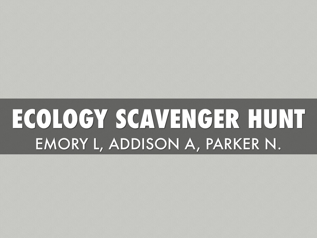 Ecology Scavenger Hunt
