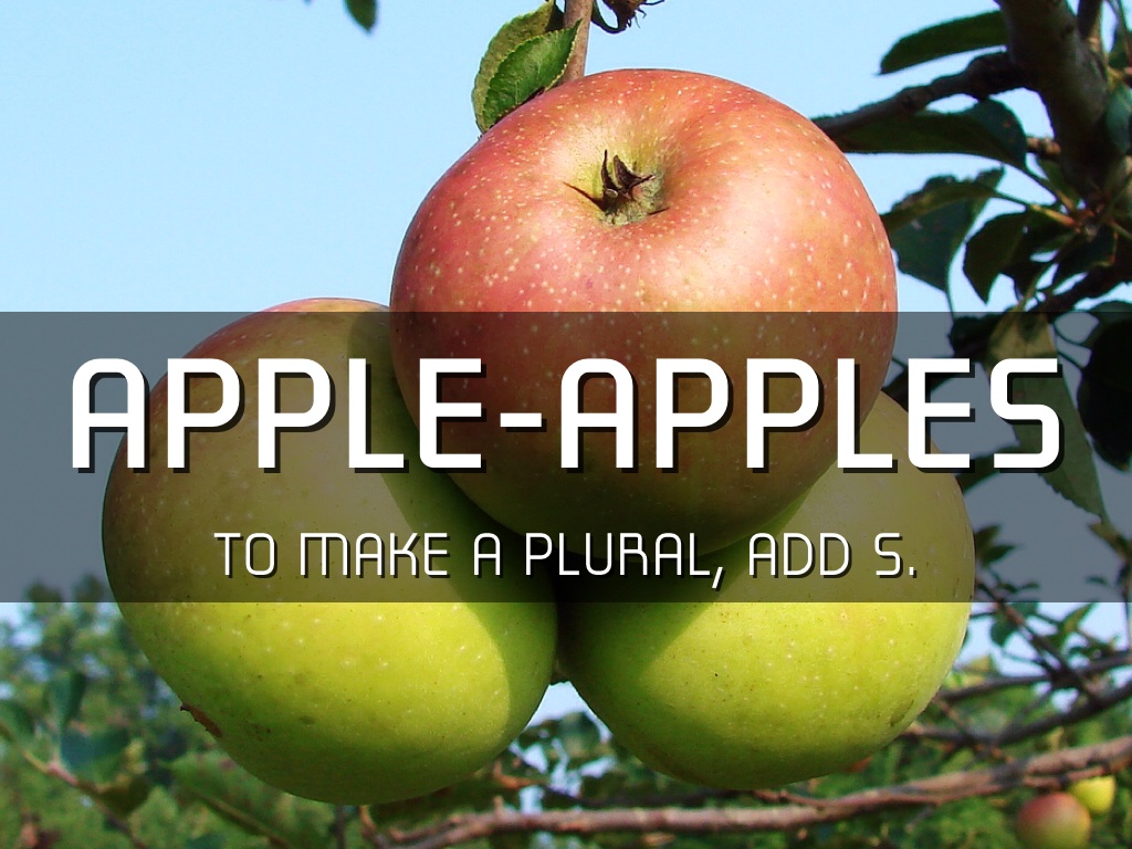 Plurals by Stanley Kim