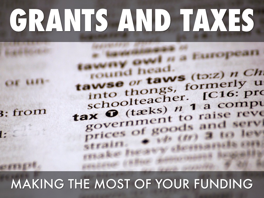 Grants And Taxes by Martin Kamenski