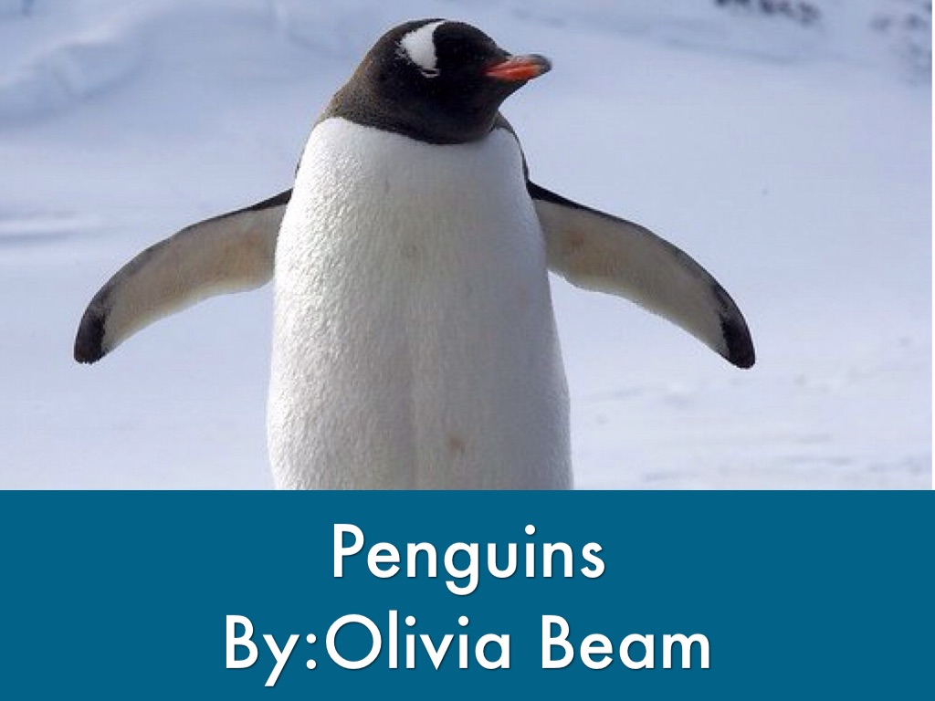 Penguins
