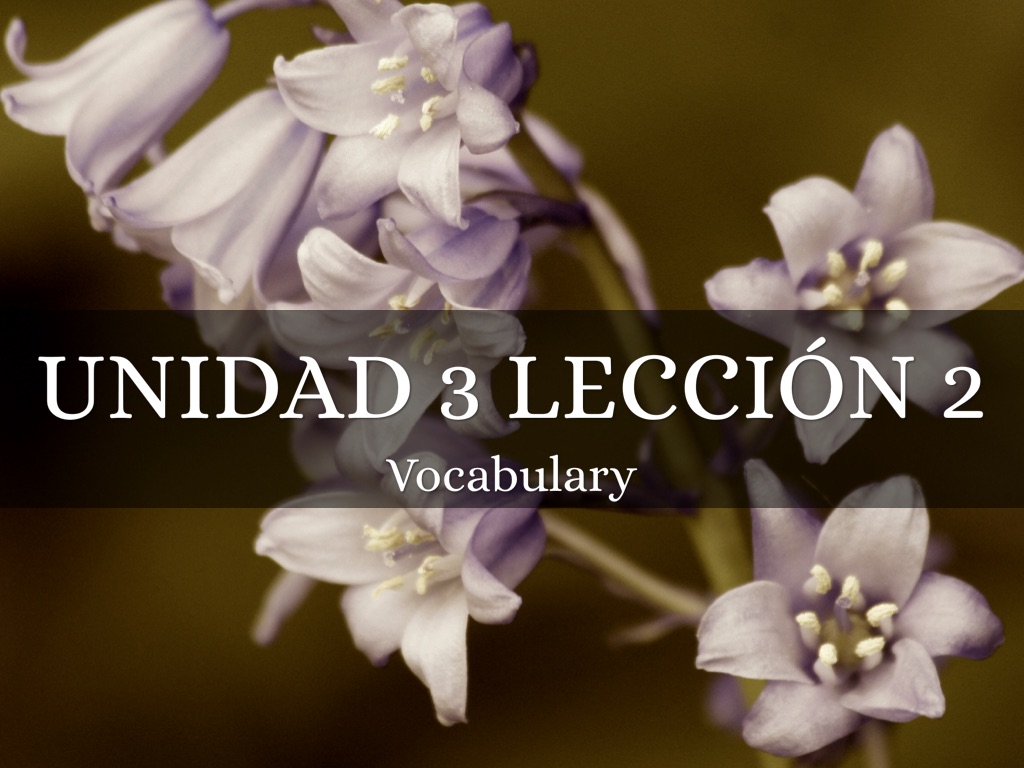 Unidad 3 Lección 2